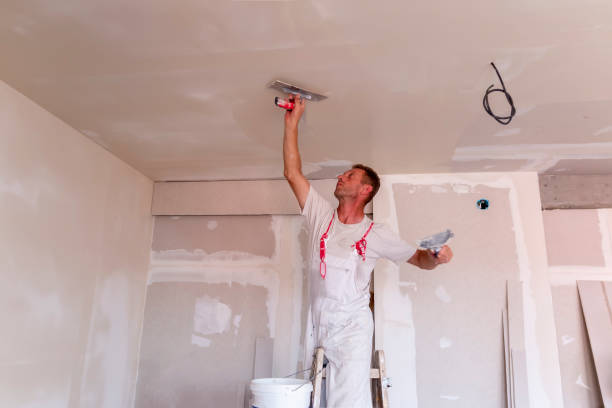 Best Drywall Removal and Disposal  in Continental, OH